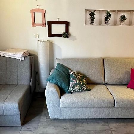 Lara Deluxe Superior 5 Star Apartment, Your Piece Of Heaven By The Sea & Park Novigrad  ภายนอก รูปภาพ