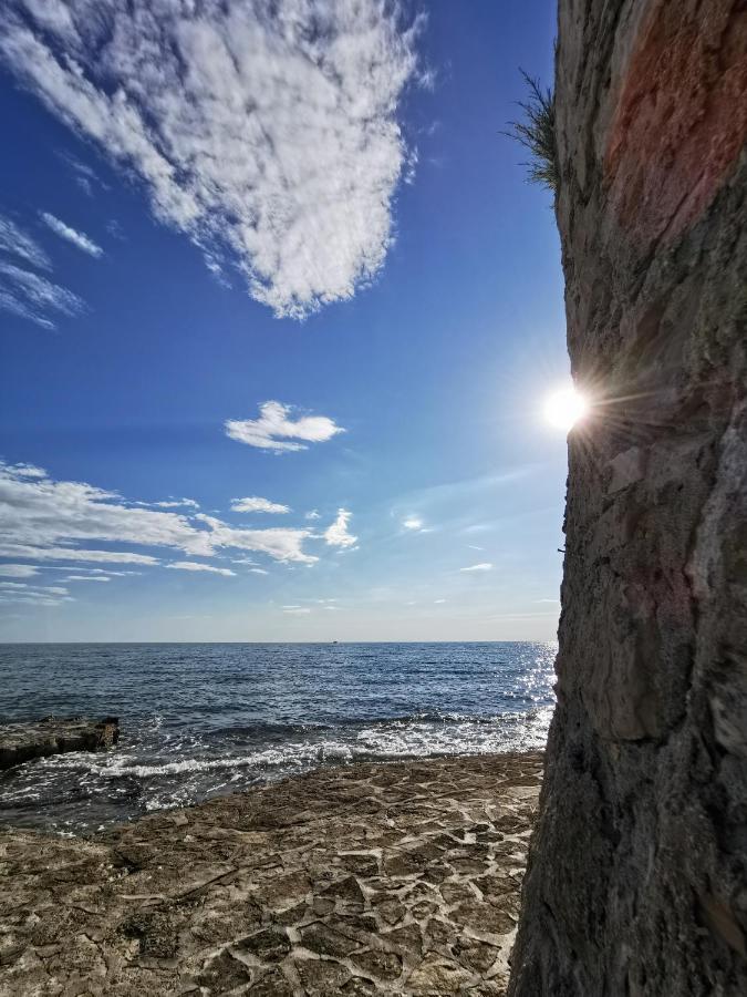 Lara Deluxe Superior 5 Star Apartment, Your Piece Of Heaven By The Sea & Park Novigrad  ภายนอก รูปภาพ